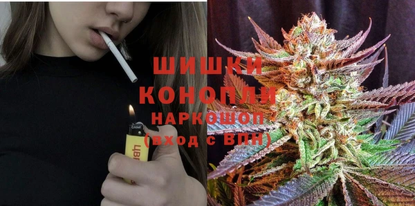 винт Мегион