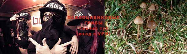 винт Мегион