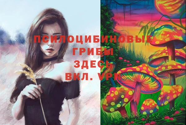 MESCALINE Медногорск