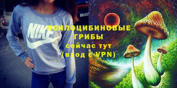 винт Мегион